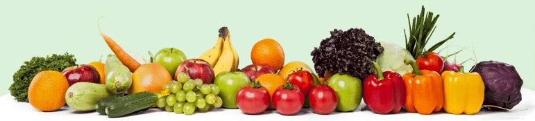 Assorted fruits and vegetables in a line serving as a page break.