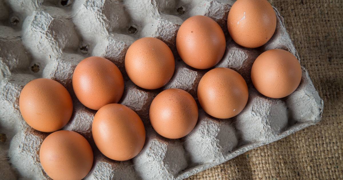 A carton of a dozen brown eggs.